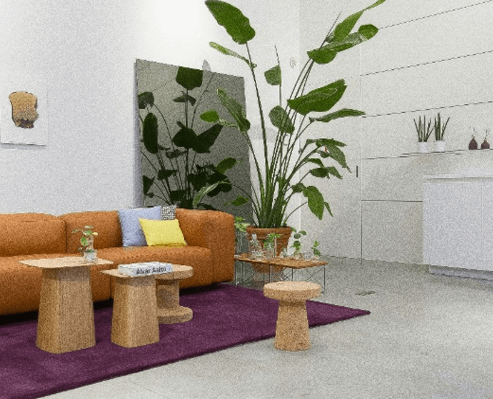 1xBet Promo Code Free Spins 2026